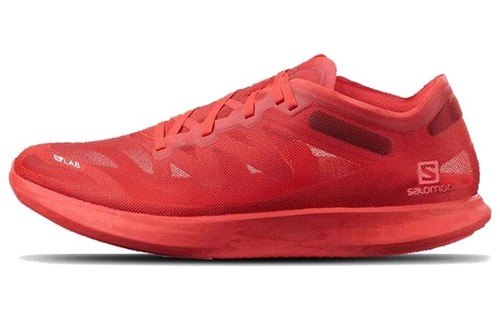 Salomon lab phantantasm - salomon,
